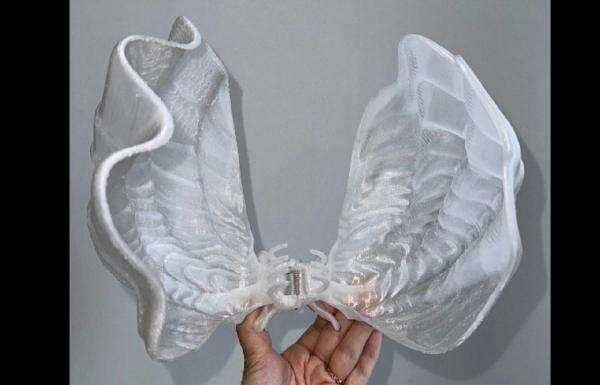 Viral Jedai Rambut Raksasa Berbentuk Cangkang Kerang Mutiara Viral Jedai Rambut Raksasa Berbentuk Cangkang Kerang Mutiara