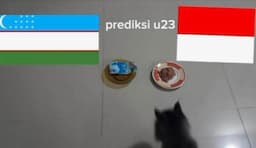 Viral Kucing Bernama Ucup Prediksi Timnas U-23  Indonesia Menang Lawan Uzbekistan