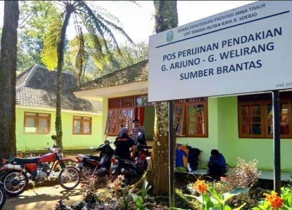 Mitos Panjat Akar Mimang hingga Kerajaan Gaib Buat 11 Pendaki Hilang di Gunung Arjuno Mitos Panjat Akar Mimang hingga Kerajaan Gaib Buat 11 Pendaki Hilang di Gunung Arjuno