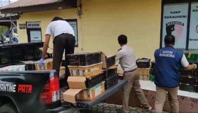 Viral! Petugas Tangkap Truk Penyelundup Ratusan Ekor Satwa Liar Dilindungi Viral! Petugas Tangkap Truk Penyelundup Ratusan Ekor Satwa Liar Dilindungi