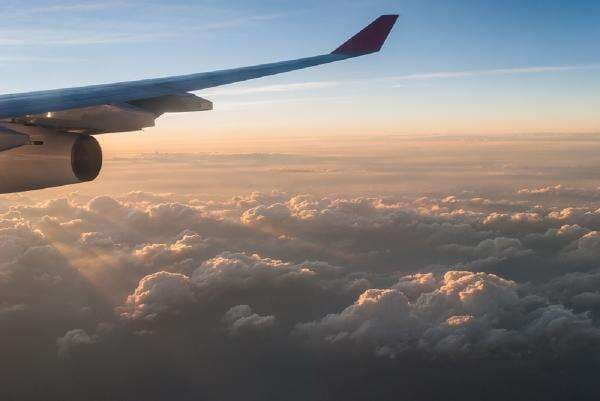 Viral Tren Raw Dogging, Ini Bahayanya bagi Kesehatan! Viral Tren Raw Dogging, Ini Bahayanya bagi Kesehatan!