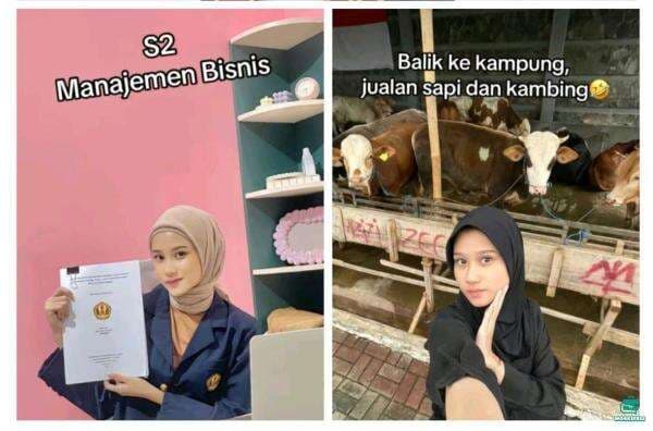 Viral Wanita Lulusan S2 Unpad Pilih Pulang Kampung Lalu Jualan Sapi, Netizen Auto Salut Viral Wanita Lulusan S2 Unpad Pilih Pulang Kampung Lalu Jualan Sapi, Netizen Auto Salut