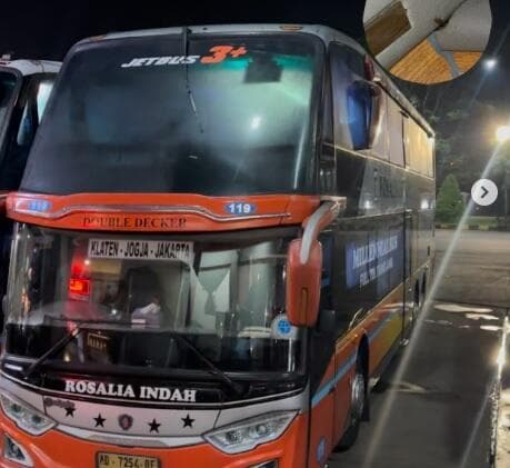 Viral Kabin Bus Rosalia Indah Super Top Kotor, Penumpang Kaget Lihat Kecoak Viral Kabin Bus Rosalia Indah Super Top Kotor, Penumpang Kaget Lihat Kecoak