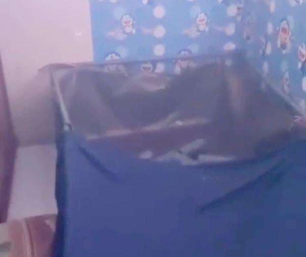 Heboh Kamar Kosan Berbau Busuk Dikira Mayat di Malang, Ketika Dibuka Ternyata Jadi Kolam Lobster Heboh Kamar Kosan Berbau Busuk Dikira Mayat di Malang, Ketika Dibuka Ternyata Jadi Kolam Lobster