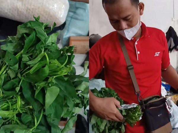 Viral Kurir Terheran-heran Harus Kirim Paket Seikat Kangkung, Warganet Tulis Komentar Lucu Viral Kurir Terheran-heran Harus Kirim Paket Seikat Kangkung, Warganet Tulis Komentar Lucu