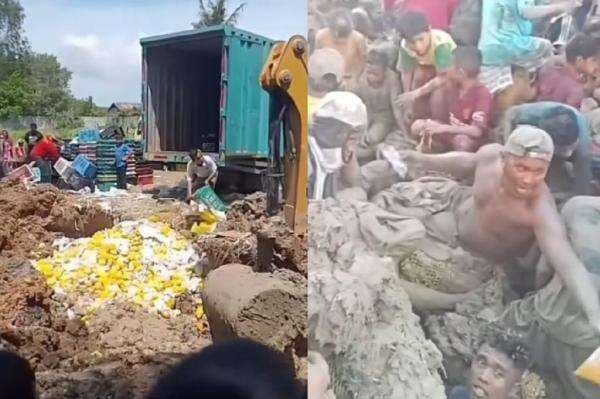 Viral Warga Asahan Gali Mangga Ilegal yang Sudah Dimusnahkan Bea Cukai, Netizen Murka Viral Warga Asahan Gali Mangga Ilegal yang Sudah Dimusnahkan Bea Cukai, Netizen Murka