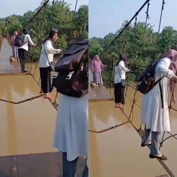 Viral Perjuangan Guru di Jambi, Rela Bertaruh Nyawa Lewati Jembatan Rusak demi Mengajar Viral Perjuangan Guru di Jambi, Rela Bertaruh Nyawa Lewati Jembatan Rusak demi Mengajar