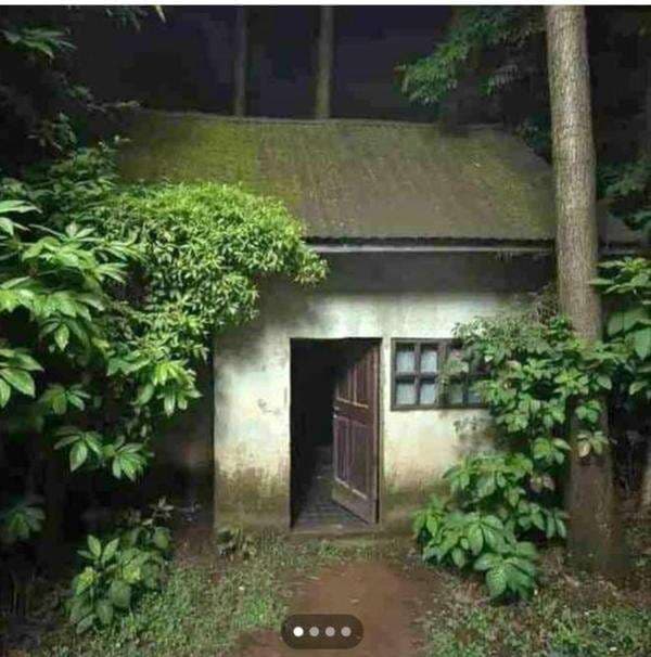 Viral Rumah di Jogja Dijual dengan Harga Rp25 Juta, Berminat? Viral Rumah di Jogja Dijual dengan Harga Rp25 Juta, Berminat?