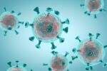 Virus HMPV Terdeteksi di Indonesia Sejak 2001, Gejalanya Batuk dan Demam Virus HMPV Terdeteksi di Indonesia Sejak 2001, Gejalanya Batuk dan Demam
