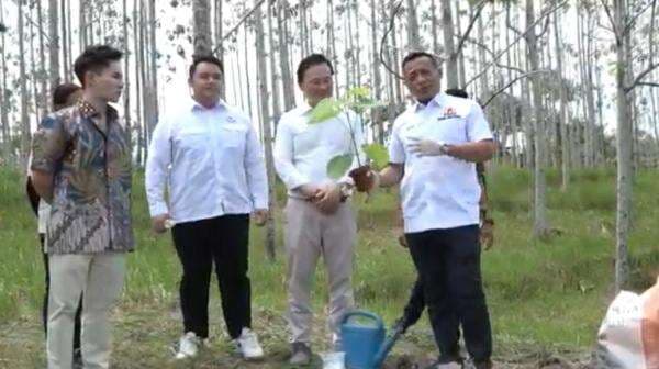 Tanam Pohon Paulownia di Sarawak Malaysia, Andi Yuslim Patawari Ajak Lestarikan Lingkungan Tanam Pohon Paulownia di Sarawak Malaysia, Andi Yuslim Patawari Ajak Lestarikan Lingkungan