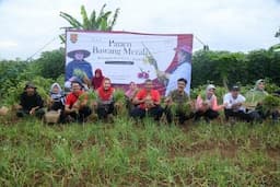 Wali Kota Semarang Dorong Pengembangan Bawang Merah Varietas Bima Agar Lebih Masif