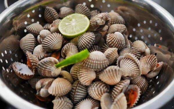 Waspada! Risiko Konsumsi Kerang saat Hamil, Ini Kata Dokter Waspada! Risiko Konsumsi Kerang saat Hamil, Ini Kata Dokter