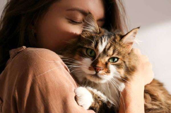 Waspadai Parasit Toxoplasma, Kotoran Kucing yang Bikin Wanita Susah Hamil Waspadai Parasit Toxoplasma, Kotoran Kucing yang Bikin Wanita Susah Hamil