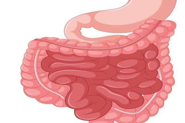 Waspadai Penyumbatan Usus Besar, Penyakit Mematikan yang Dialami Indra Jaylani Waspadai Penyumbatan Usus Besar, Penyakit Mematikan yang Dialami Indra Jaylani