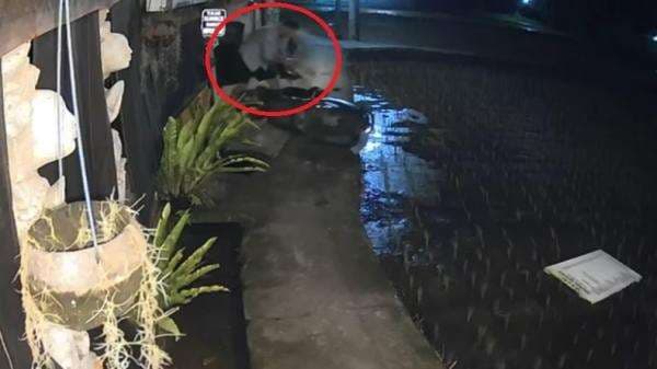 Terungkap Motif WNA asal Australia Mengamuk di Gianyar, Depresi Terungkap Motif WNA asal Australia Mengamuk di Gianyar, Depresi