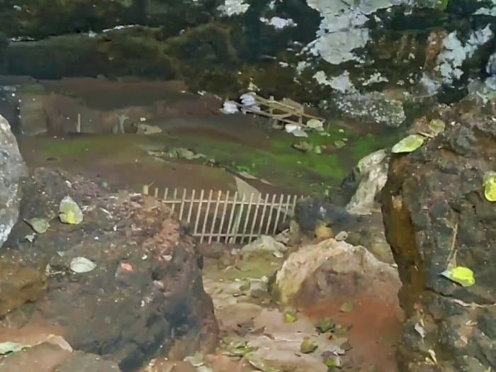 Menelusuri Jejak Manusia Purba dan Kehidupan Prasejarah di Gua Braholo Jogja Menelusuri Jejak Manusia Purba dan Kehidupan Prasejarah di Gua Braholo Jogja